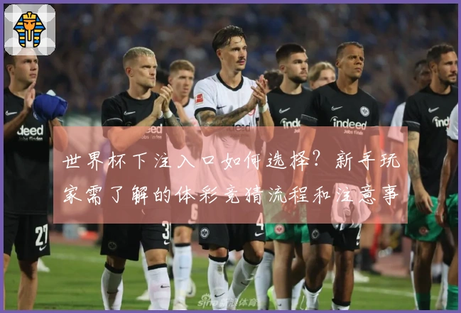 世界杯下注入口如何选择？新手玩家需了解的体彩竞猜流程和注意事项