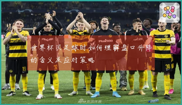 世界杯买足球时如何理解盘口升降的含义及应对策略
